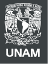 logo_unam