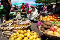 2012 FREGUIN GRESH, venta de frutas y hortalizas, Sebaco, Nicaragua